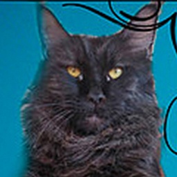 Sharm World West Wind