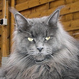 Cool Motion's Blue Lagoon