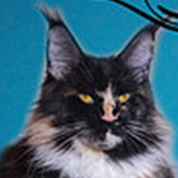 Sharm World La Fayette