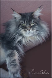 Langstteich's Excalibur