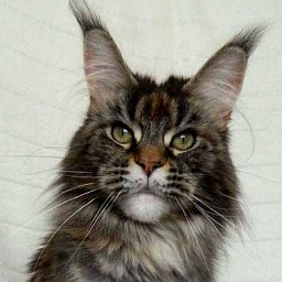 Therezia Sky Beyrouth