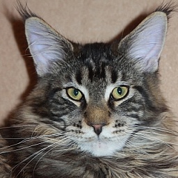 Hard Rock Krasnyi Dar