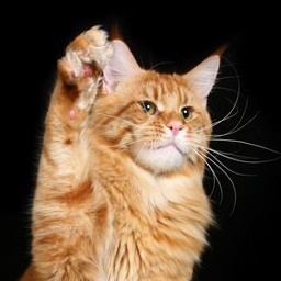 Imperiy Sibasco Kotov Diamond