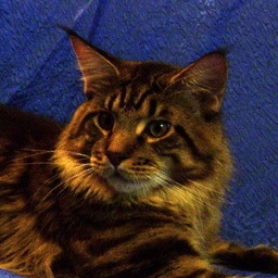 Agent 007 Krasnyi Dar