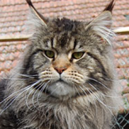 Justcoon's Don Corleone