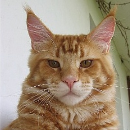 Escape's Never Ending