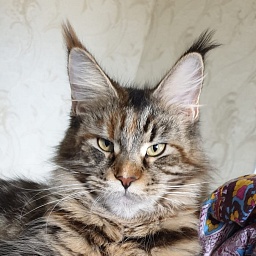 Diana of Tsarskoye Selo