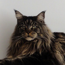 Nabucco vom Guldental