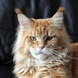 Summerplace Wodka Lemon