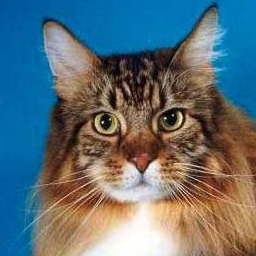 Masteast Jonathan Edwards