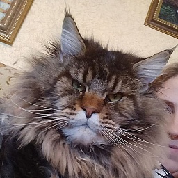 Dolce Bestiya Newton